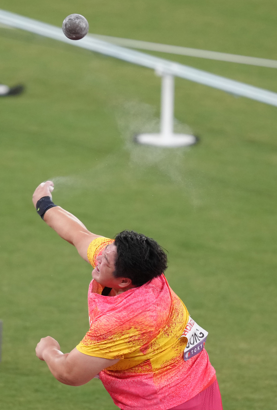 zsFGp, 贾浩成, 最终